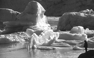 photo: icebergs in an ice-dammed lake